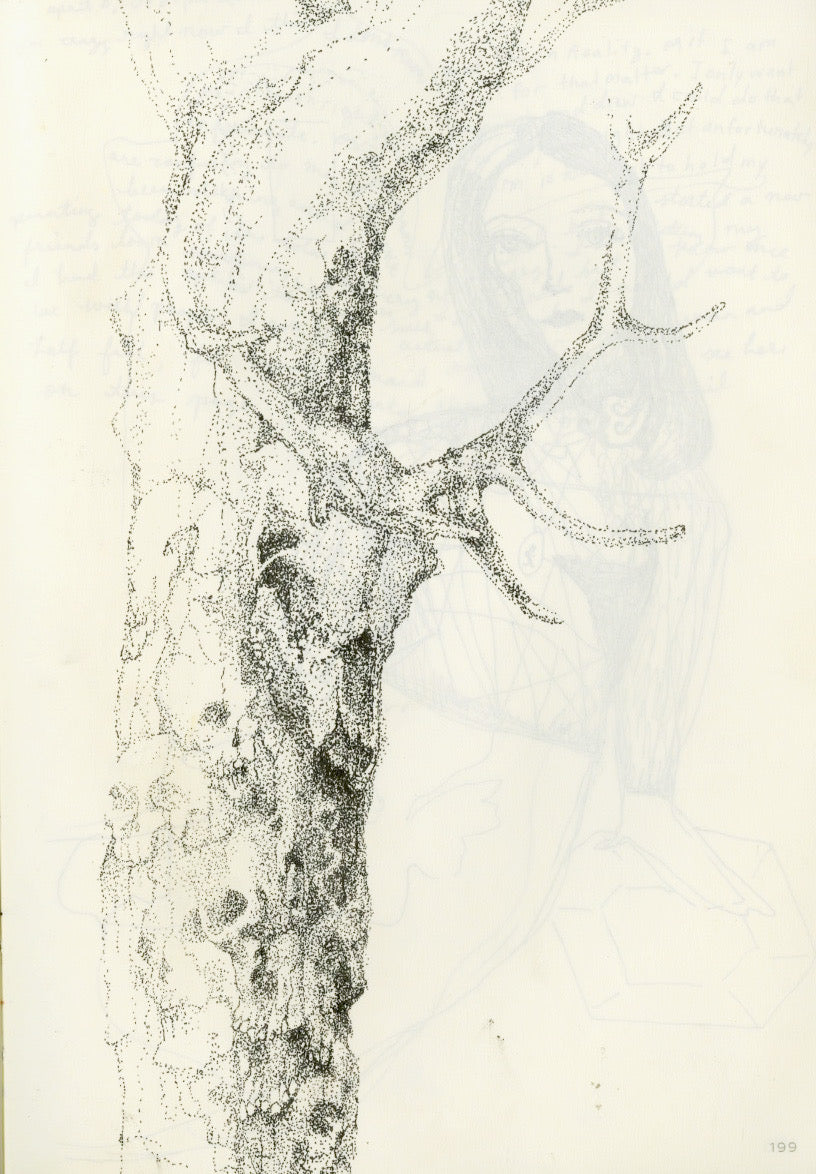 Dead Tree Drawing