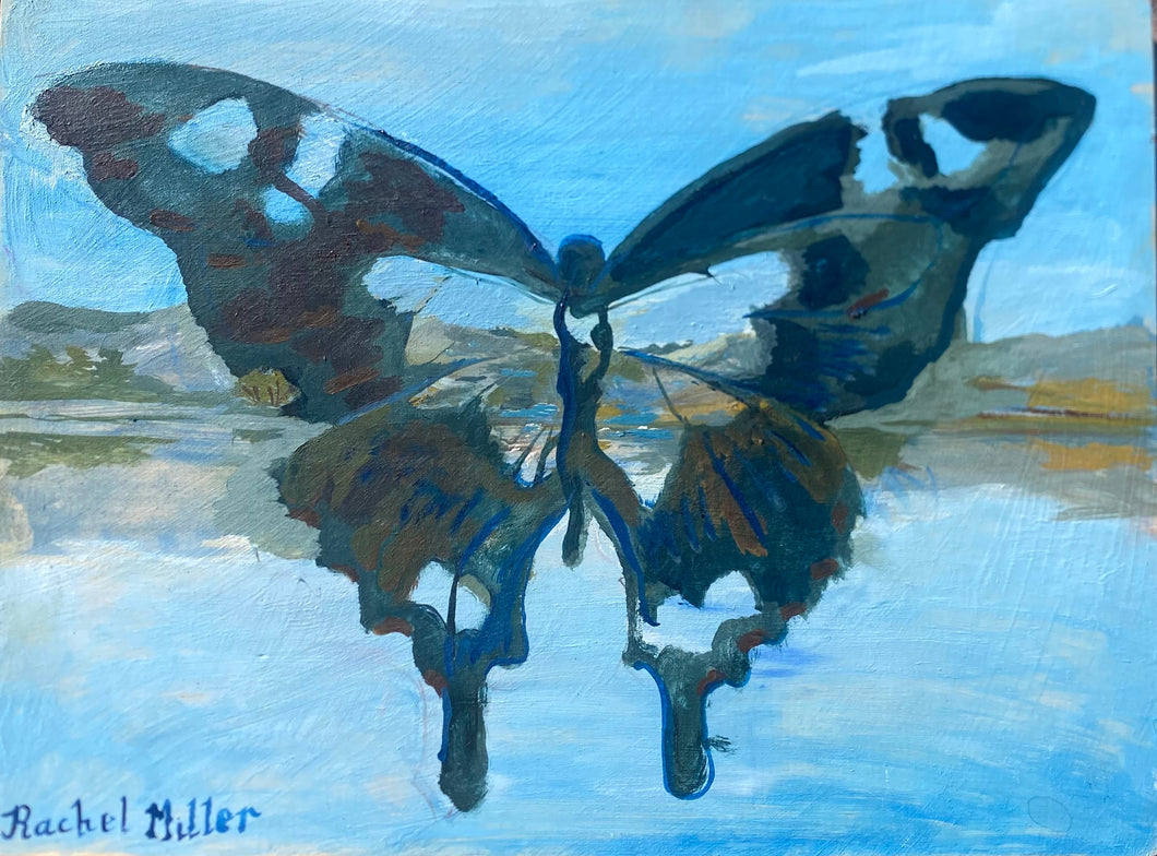 Shadow Butterfly
